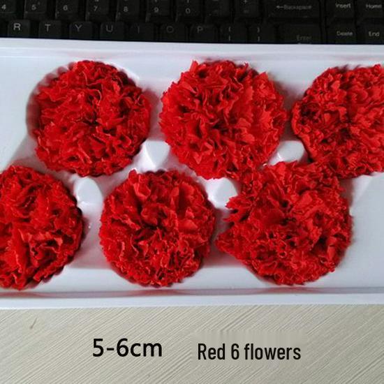 Preserved Yunnan Carnation Flowers – Perfect Mother’s Day and Birthday Gift