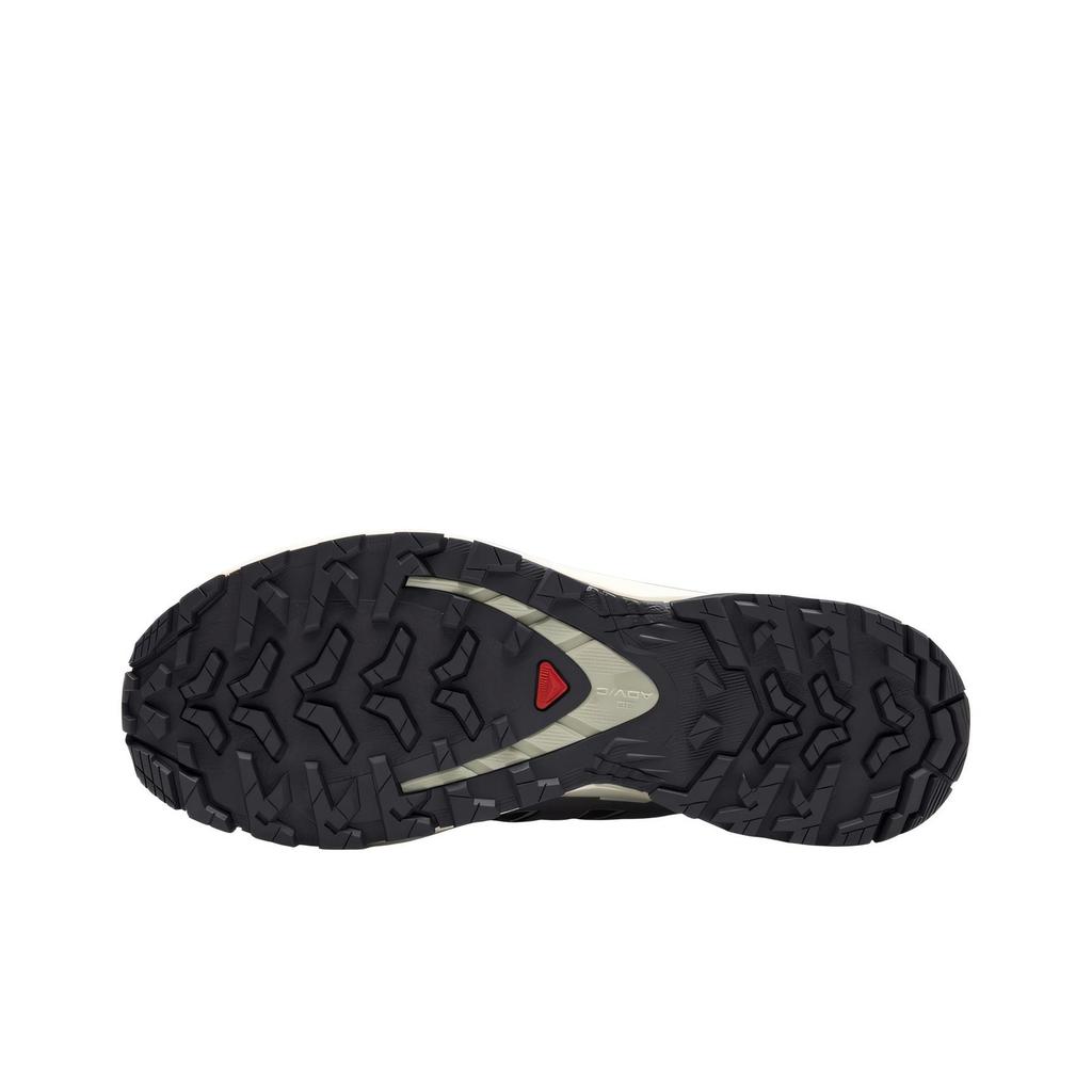 SALOMON XA Pro 3D V9 GORE-TEX Nine Iron Alfalfa Женские кроссовки Серый Oxford-Tan L47744700