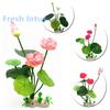 Aquarium Artificial Lotus Plants Fish Tank Decorations Water Grass Ornaments Realistic Aquatic Flowers Easy To Clean Durable Eco-Friendly