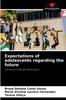 Книга Expectations of Adolescents Regarding the Future