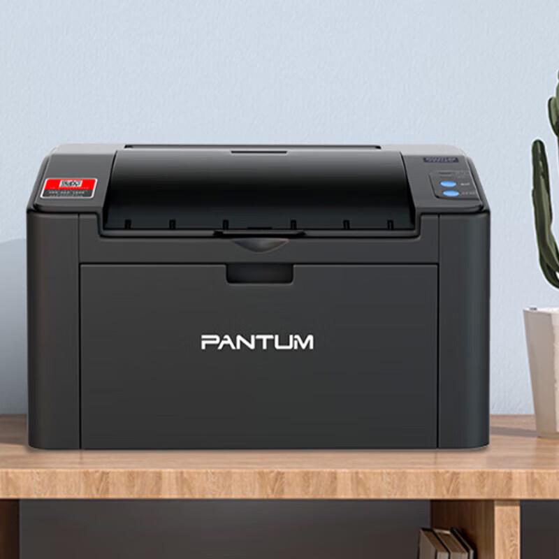 Pantum P2206W Wireless Black & White Laser Printer CN plug (adapter included)