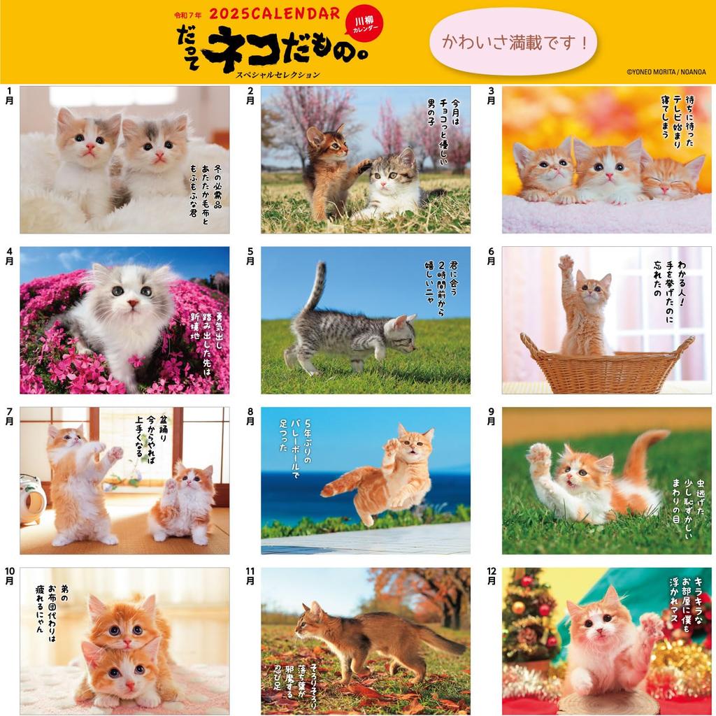 Календарь Active Corporation 2025 Настенный, потому что это кот. 25ACL-66 Начиная с января 2025 г.