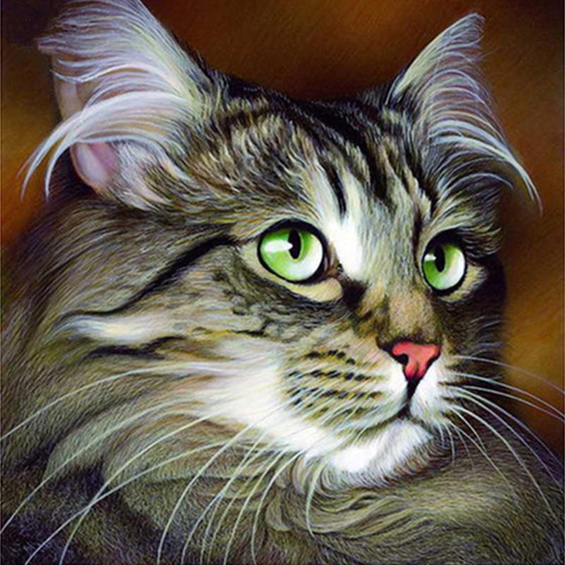 Животное DIY 5D алмазная живопись полная круглая дрель милый кот Алмазная вышивка крестиком стразы для гостиной настенное искусство