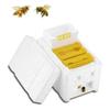 Multi-Function Beehive Beekeeping King Box Foam Home Bee Hive Pollination Boxes Harvest Queen Bee Mating Hive Beekeeper Supplies