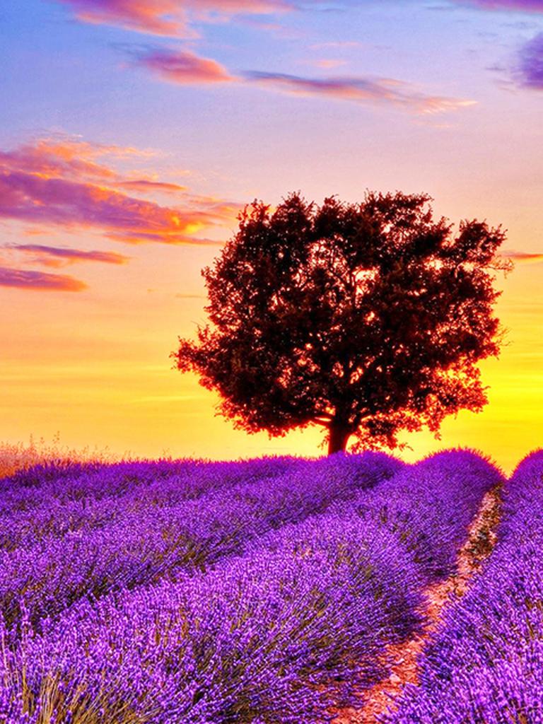 Круглая алмазная вышивка «сделай сам», пейзаж, цветок, море, 5D алмазная живопись, вышивка крестиком, лавандовая мозаика, украшение дома, подарок на Новый год