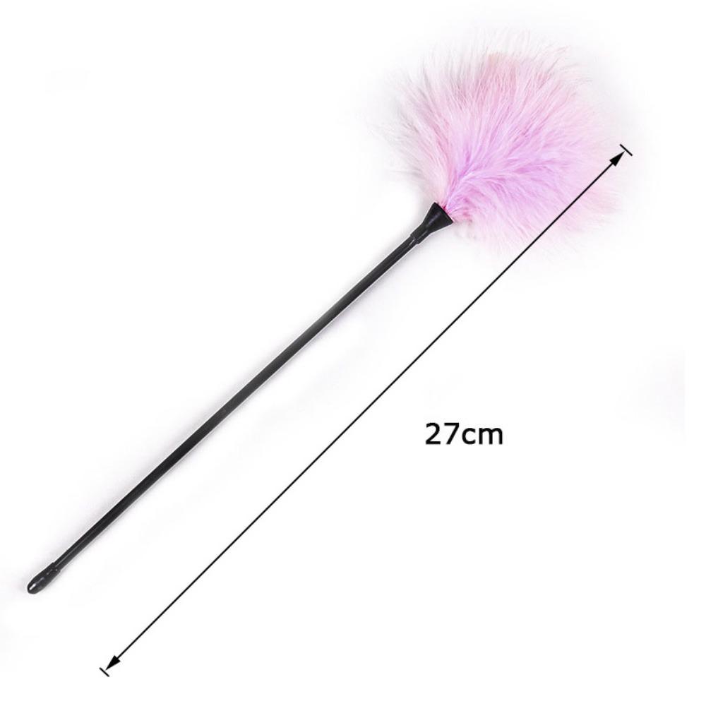 Adult Bondage Spank BDSM Flirt Feather Flirt Feather Whip Nipple Stimulation Products Sex Toys
