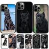 Чехол для телефона с изображением итальянского мастифа Кане-корсо Для iPhone 17 Air 15 16 Pro Max 14 13 12 11 Pro Max Plus Корпус