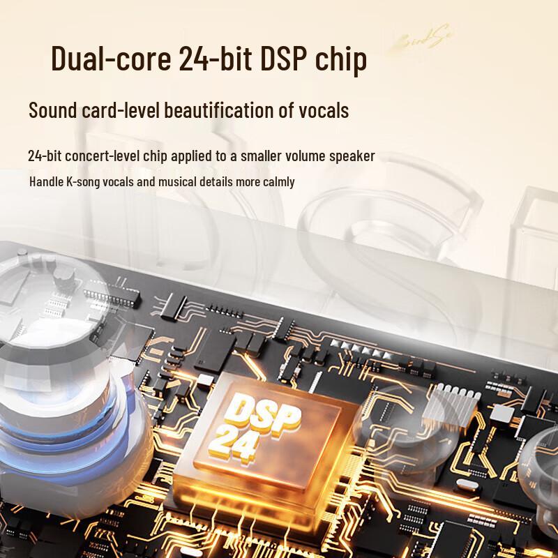 Divoom SongBird-SE Karaoke Bluetooth Speaker