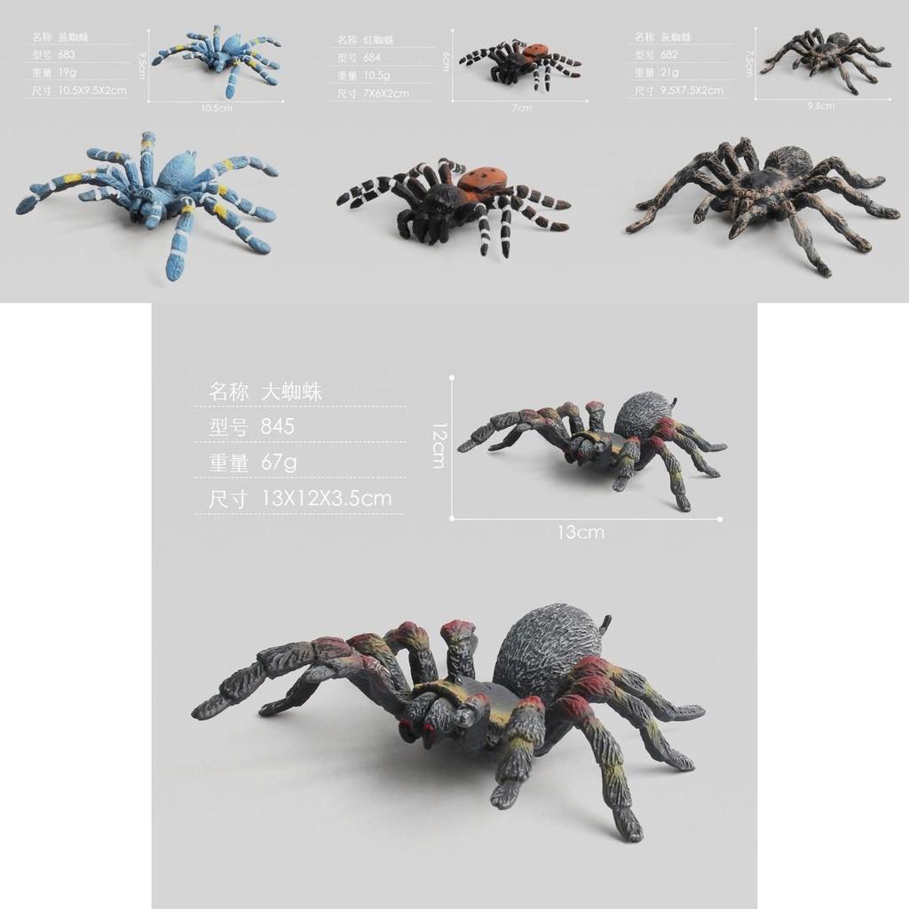 Stunningly Detailed Plastic Insect Models Including Vibrant Peacock Spiders And Striped Fly Spiders Perfect For Learning And Displaying