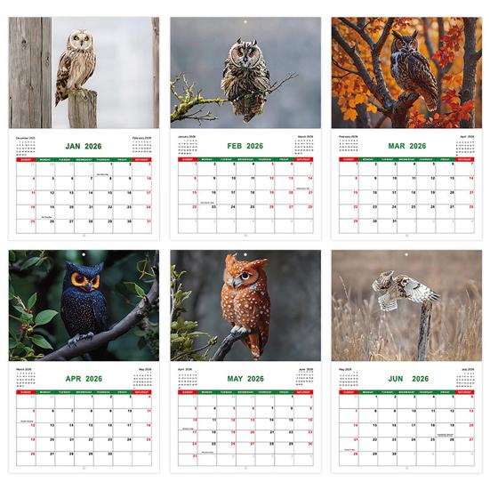 2026 Wall Calendar Jan 2026 - Dec 2026 12 Monthly Planner Wall Hanging Calendar with Funny Dog/Cat Images for School Home Office