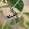 100Pcs Vine Ties Portable Reusable Reliable Plants Hanging Vine Clamps Plant