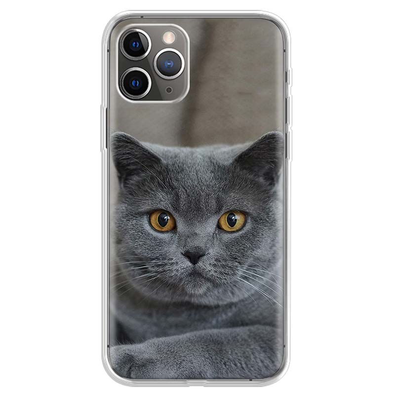 British Shorthair Cat Phone Case For iPhone 17 Air 11 13 Mini 14 15 Plus 16 12 Pro Max 16E SE 7 8 Pattern Soft TPU Back Cover 1