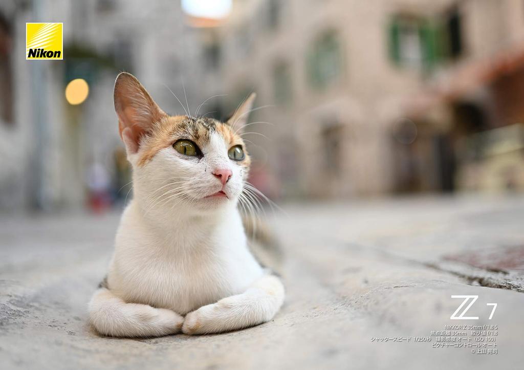 Nikon Беззеркальная камера с одним объективом Z7 body