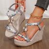 Fashion Metal Decor Wedge Sandals for Women Summer 2024 Braided Band Platform Gladiator Sandals Woman Thick Bottom Beach Sandalias Mujer