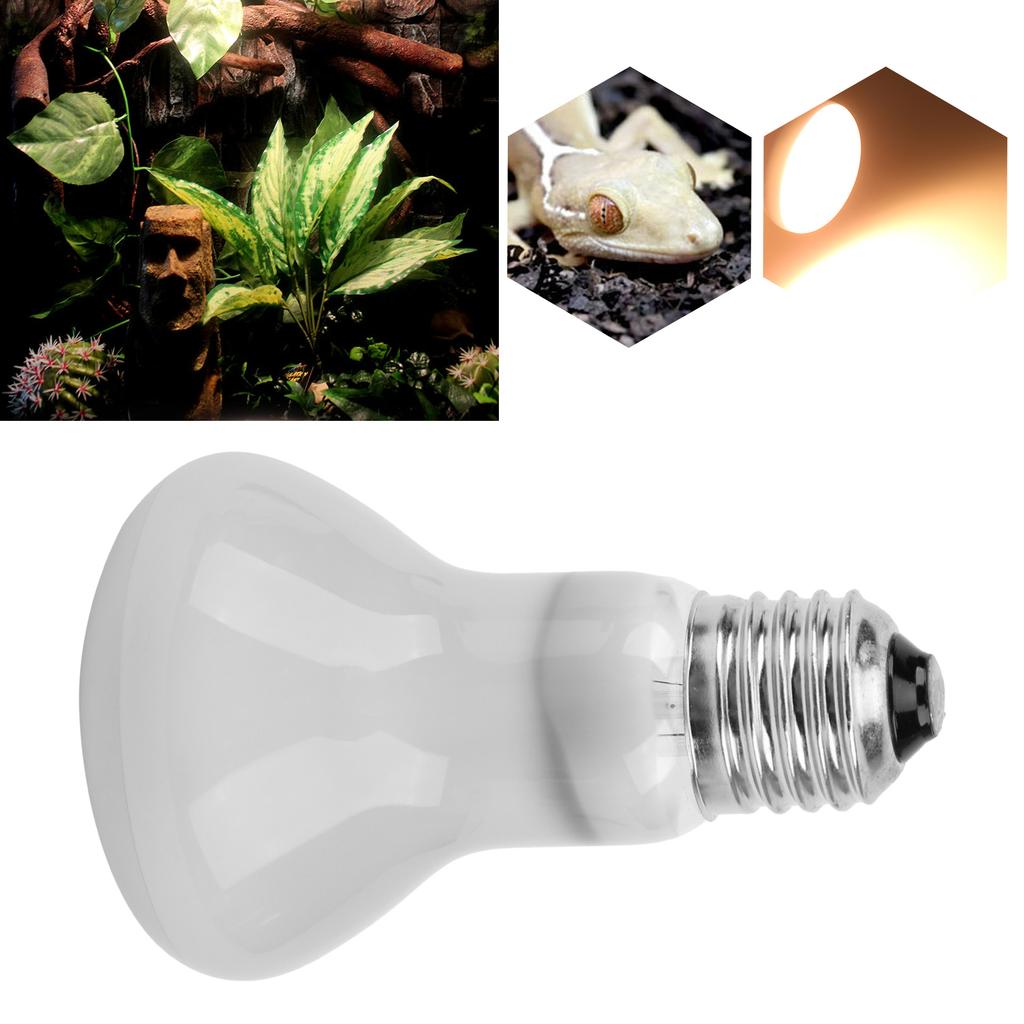 E27 Лампа обогрева рептилий UVA Тепло Дневной свет Лампы для черепахи Рептилий Ползающее домашнее животное70W 220V