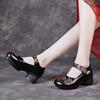 Retro Ethnic Style Women's Shoes 2025 Spring New Shallow Mouth Single Shoes Thick Heel Soft Sole Comfortable Women's Leather Shoes Mother Shoes