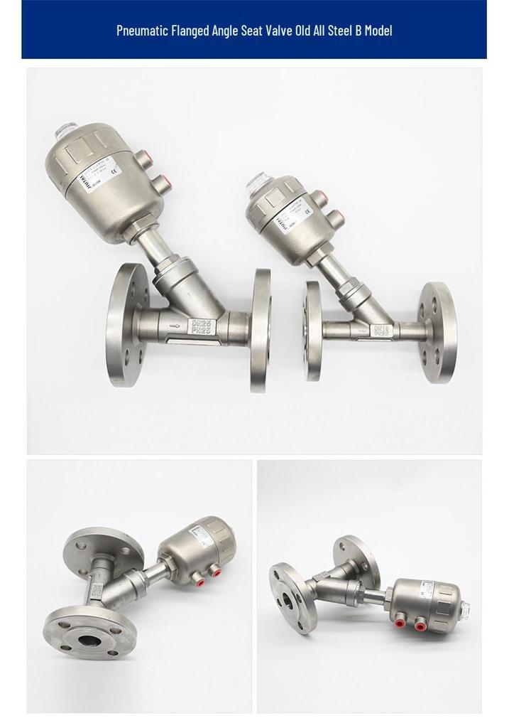 High-Temperature Resistant Stainless Steel Y-Type Pneumatic Flanged Angle Seat Valve