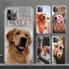 Мягкий чехол для телефона Golden Retriever Friend для iPhone 11 12 13 Pro MAX XR X XS Mini Apple 8 7 Plus 6 6S SE 5S Fundas Coque Shell Co