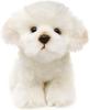 Uni-Toys - Maltese - 18 Cm (height) - Plush Dog, Pet - Plush Toy, Cuddly Toy