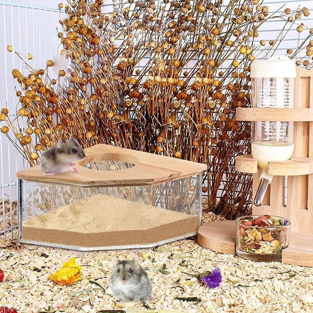 Прозрачная прямоугольная песочница для купания хомяков для золотистого хомячка, морской свинки