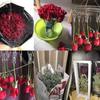 Valentine'S Day Dried Roses Specimen Storage Photo Frame Dried Flowers Photo Frame Sample Exhibition Stand\t\t Display Stand