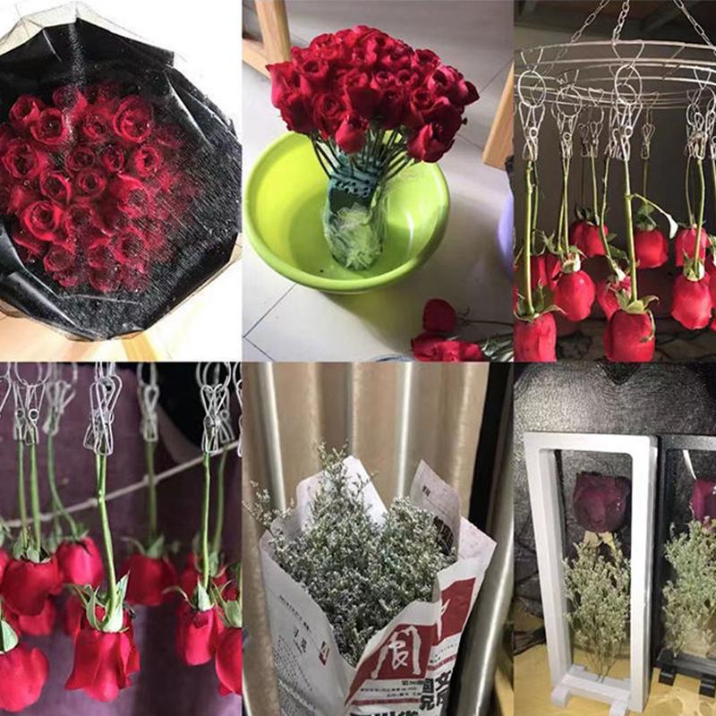 Valentine'S Day Dried Roses Specimen Storage Photo Frame Dried Flowers Photo Frame Sample Exhibition Stand\t\t Display Stand
