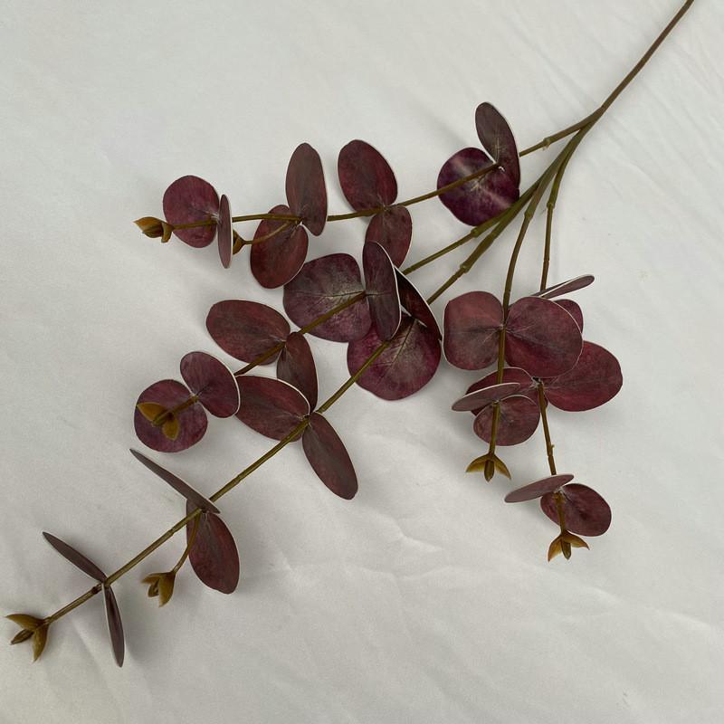 Стебли листьев эвкалипта для внутреннего и наружного свадебного украшения, подарок