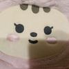 Brand New) Selling Seventeen Jongtoram