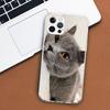 British Shorthair Cat Phone Case For Apple iPhone 11 12 13 15 14 Pro 7 XR X XS Max 8 Plus + Mini SE Customized Print Soft Cover