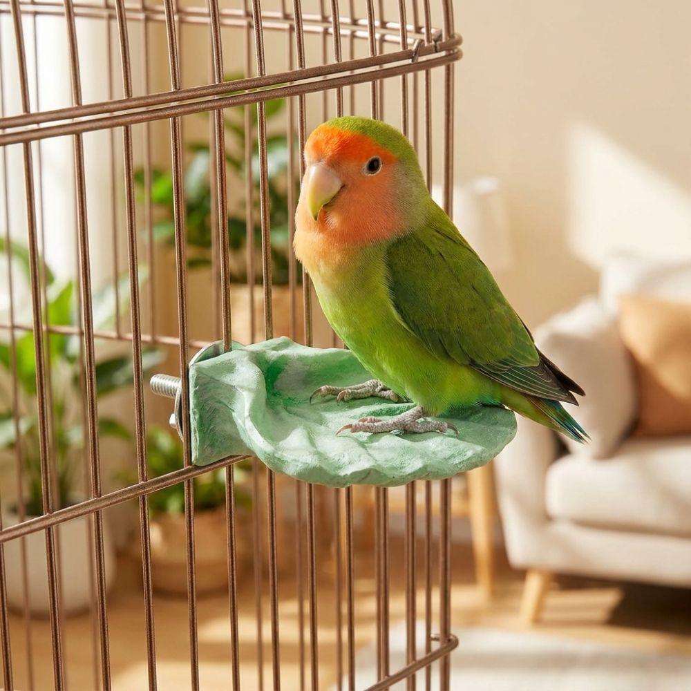 Non-slip Bird Chew Grinding Toy Wear-resistant Bird Cage Perches Parrot Perch Stand Claw Grinding