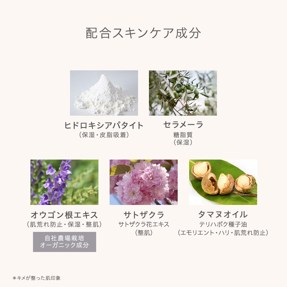 naturaglace Защищающая пудра для лица P