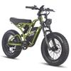 Fafrees F20 ULTRA 750W Off-Road E-Bike, 48V 25Ah Battery, 20"×5.0" Fat Tires, Dual Suspension, Shimano 7-Speed, LCD Display, Dual Disc Brakes, IPX5