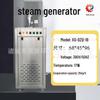 Electric Heating Steam Generator for Food Steaming and Cooking