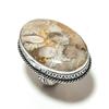 Fossil Coral Gemstone 925 Sterling Silver Gift Jewelry Ring Size 8