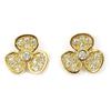 [P2345] - Gold Plated 'Flora' White Gold Earrings - 7x7 Mm