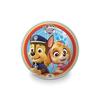 Balloon - MONDO - Paw Patrol - 23 Cm - Bio - Multicolor
