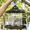 Большая кормушка для птиц Пластиковый поддон для кормления птиц Подвесная кормушка для птиц Кормление на заднем дворе