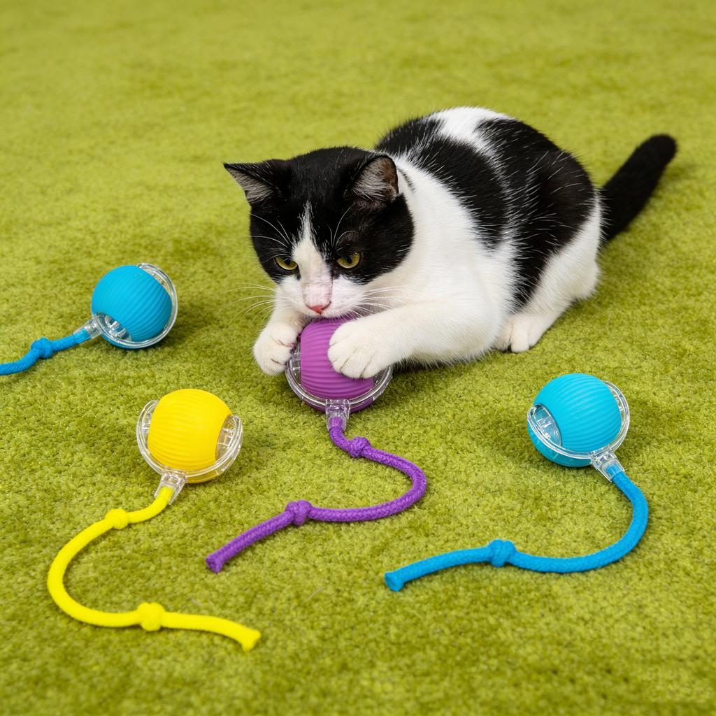 Устойчивый автоматический мяч-дразнилка, игрушечный мяч, инструмент для саморазвлечения и снятия стресса с веревкой, товары для домашних животных, прыгающий мяч