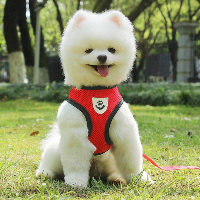 Dogs Harness with Leash Set Breathable for Small and Large Dog Harness Vest Puppy Chihuahua Cat Harness Vest Arnes Para