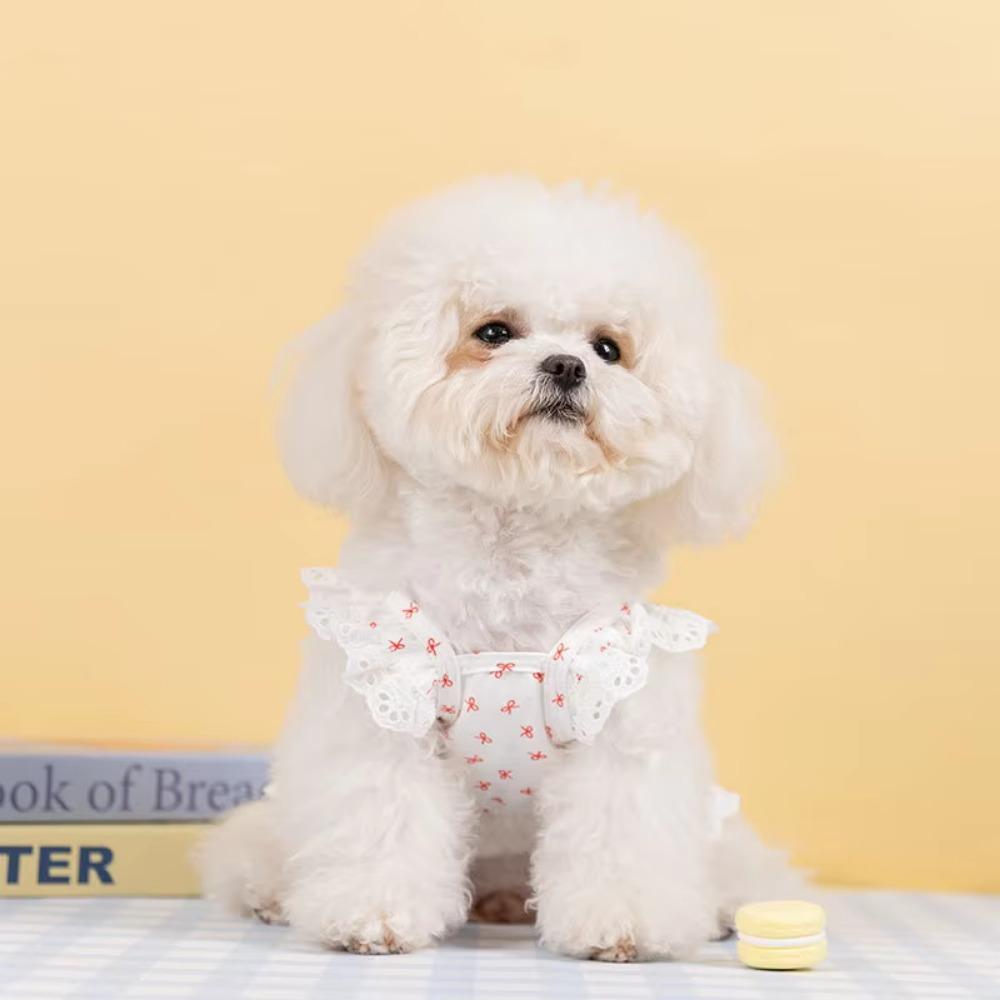Exquisite Lace Cat Skirt Soft Dog Princess Dress Simple Bow Print Dog Dress Pet Clothes
