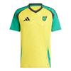 Adidas Футболка с коротким рукавом Jamaica 24 Home, мужская, желто-зеленая IT8541