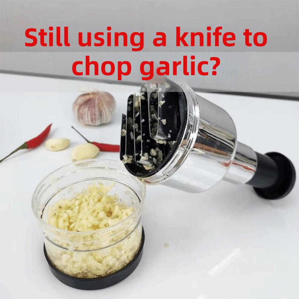 Stainless Steel Garlic Presser Manual Pressed Vegetable Slicer Fruit Dicer  Household Supplies