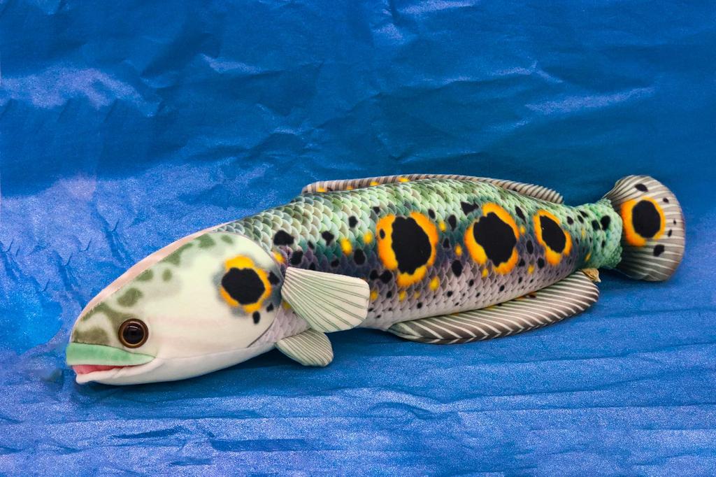 Takeoff Snakehead Realistic Cute Fish Series