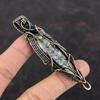Orthoceras Fossil Pendant Copper Wire Wrapped Pendant Handmade Pendant Copper Jewelry Wonderful Gemstone Pendant Wire Wrap Jewelry For Gift