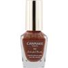 Canmake Ida Laboratory Z Canmake Colorful Nails N86  