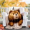 Cartoon Teddy bear Ted printed throw blanket—lightweight,soft,warm;versatile blanket for all seasons—perfect as &air-conditioning throw,nap blanket