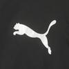 Puma Легкая ветрозащитная куртка Team Cup Windshield