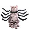 Костюм для кошки и собаки Гигантский костюм животного паука Черный