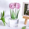 Коллекционная фигурка тюльпана из искусственного хрусталя, прозрачный тюльпан, стеклянный букет цветов, подарки на День святого Валентина, день рождения, женщине, девушке, жене