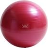 ALINCO Exercise Ball 55cm (Pink) WBN055P